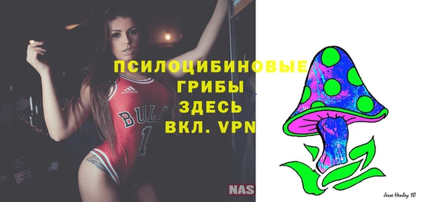 ECSTASY Беломорск