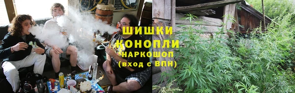 PSILOCYBIN Белокуриха
