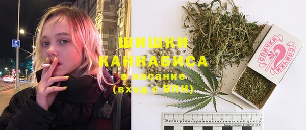 PSILOCYBIN Белокуриха