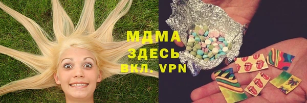 PSILOCYBIN Белокуриха