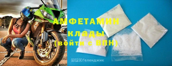 PSILOCYBIN Белокуриха