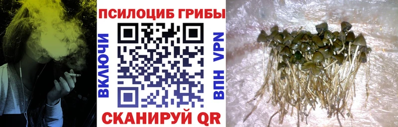 Псилоцибиновые грибы мицелий  Жуковка 